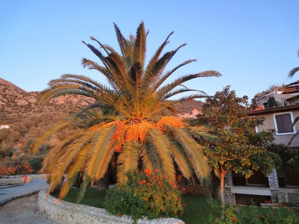 imagini hotel PATARA PRINCE RESORT